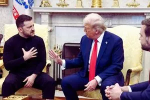 صحيفة نيوزلندية: ترامب قتل حلف شمال الأطلسي