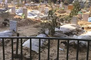مستشار بريطاني يتهم "إسرائيل" بارتكاب إبادة جماعية في غزة