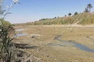 الساعدي: السياسة المائية لتركيا تهدد أمن العراق المائي وتفاقم أزمة الجفاف
