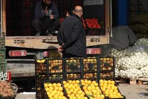 العراق أبرز مستوردي الخضراوات التركية من غرب المتوسط شفق نيوز