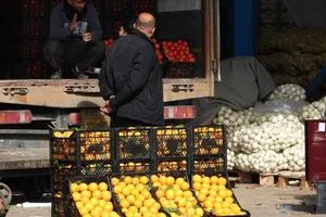 العراق أبرز مستوردي الخضراوات التركية من غرب المتوسط