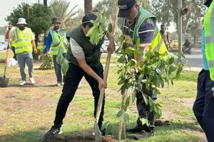 بغداد تستعد لأكبر حملة تشجير بزراعة 300 ألف شجرة معمّرة وكالة بغداد اليوم الاخبارية