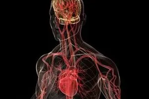 دراسة تكشف كيف يتسلل تلوث الهواء إلى القلب والدماغ