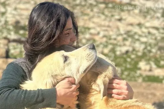 حلم طفلة يتحول إلى ملاذ آمن للحيوانات السائبة في دهوك صور شفق نيوز