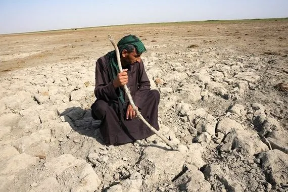 المياه النيابية الأهوار والزراعة العراقية تعاني أسوأ موسم منذ سنوات