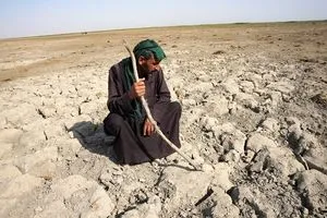 المياه النيابية الأهوار والزراعة العراقية تعاني أسوأ موسم منذ سنوات