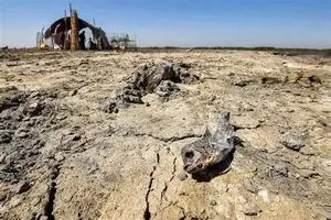 الفتلاوي يحذر من تغيير ديموغرافي في المناطق الزراعية