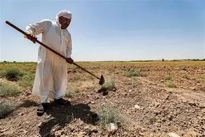 بعد عقدين من التوقف دعوات لإعادة تشغيل أسطول الطيران الزراعي