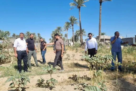 بأمر قضائي بيئة الأنبار تزيل نبات الداتورا السام في الحبانية