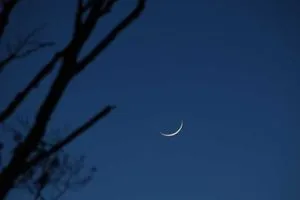 مكتب السيد السيستاني يوم الجمعة المقبل هو غرة شهر جمادى الأولى وكالة بغداد اليوم الاخبارية