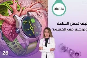 اعلام إيراني العراق على اعتاب تطورات جديدة ومتسارعة ماذا يريد ترامب من الانتخابات