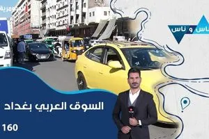 أسباب غياب زينة عن مهرجان القاهرة السينمائي