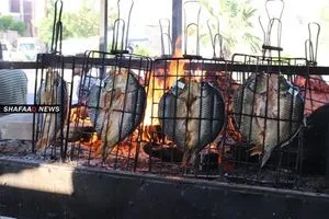 زوج يقتل زوجته إثر خلاف على شوي السمك في الأنبار