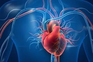 طبيب قلب 5 فئات دوائية شائعة قد تضر بصحة القلب