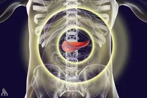 ثلاث عادات صباحية تجهد البنكرياس وتزيد خطر الإصابة بالسكري وكالة الانباء العراقية واع