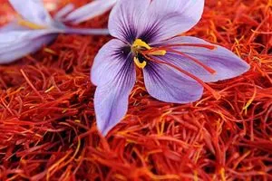 تعرف على الفوائد الصحية للزعفران