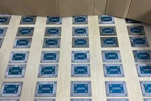 ضبط 240 ختماً غير مرخصة لأسماء أدوية بشرية في منفذ طريبيل