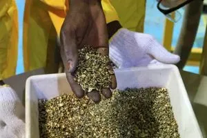 فساد بمئات المليارات السودان يكشف عن تجاوزات هائلة بقطاع التعدين