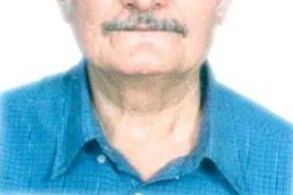 الجمل المفيدة في العبارات السديدة جمال السوداني