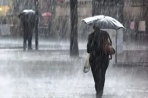 الأنواء الجوية أمطار رعدية وضباب كثيف وانخفاض بالحرارة في عموم البلاد