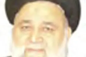 النجف ينبوع الشعر العربي  حسين الصدر