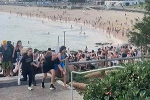 أستراليا تكشف مفاجأة تخص مطلقي النار في سيدني