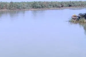 ارتفاع المعدلات المطرية يعزز واردات الفرات والغراف وينعش الأهوار في ذي قار