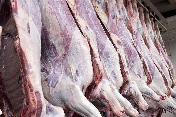 تخضع لفحص دقيق الزراعة تعلن فتح استيراد المواشي واللحوم الحمراء وكالة الانباء العراقية واع