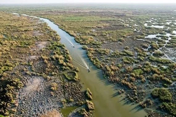الكروي يدعو إلى إنشاء صندوق طوارئ لتمويل مشاريع حصاد المياه في المحافظات
