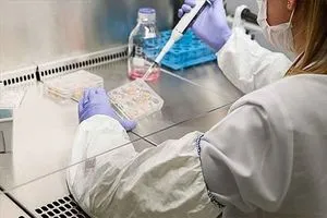 ابتكار جسيم نانوي لنقل الأدوية إلى الدماغ عبر الأنف بأمان وكفاءة