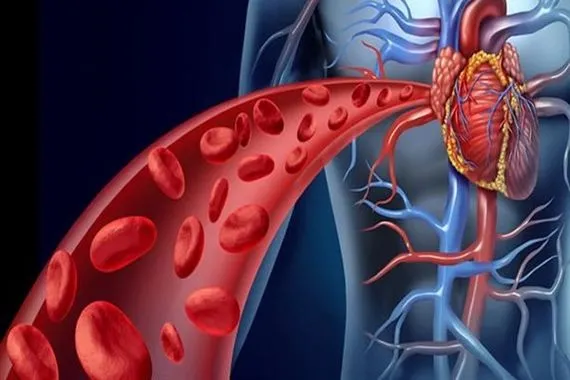 أطعمة ضرورية للوقاية من فقر الدم تعرف عليها