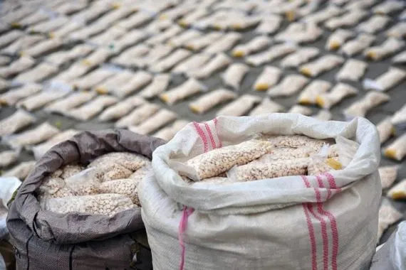 العراق يفكك شبكة دولية لتجارة المخدرات ويعتقل 17 عنصرا في صفوفها