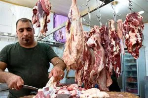 الزراعة تصدر قرارات جديدة بشأن استيراد المواشي واللحوم الحمراء