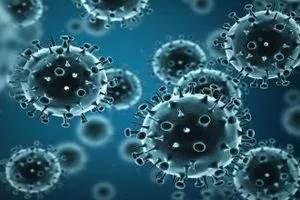 الصحة العالمية تحذر سلالة فيروسية جديدة تجتاح 30 دولة شفق نيوز