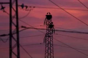 إنتاج الكهرباء في تونس يرتفع 4 خلال أكتوبر رغم تراجع النفط والغاز