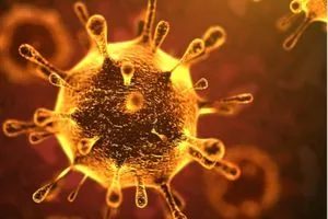 الأول من نوعه منذ كورونا الصحة العالمية تطلق صافرة إنذار بسبب فيروس MERS CoV