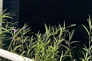 انفجارات تهز العاصمة الفنزويلية