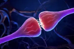 دراسة خلايا الإنسان قد تولد طاقة كهربائية ذاتيا