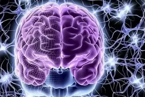 العمر ليس خطاً مستقيماً محطات خفية تعيد تشكيل الدماغ