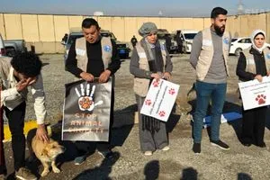 تنديداً بـ إبادة آلاف الكلاب السائبة ناشطون كورد يستنجدون بالأمم المتحدة صور شفق نيوز