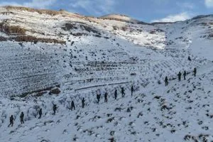 سوريا إحباط عملية تهريب أسلحة إلى لبنان