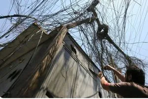 50 ألف مولدة ديزل تحوّل مدن العراق إلى بؤر مسرطِنة وتستنزف 6 10 مليارات دولار سنوياً