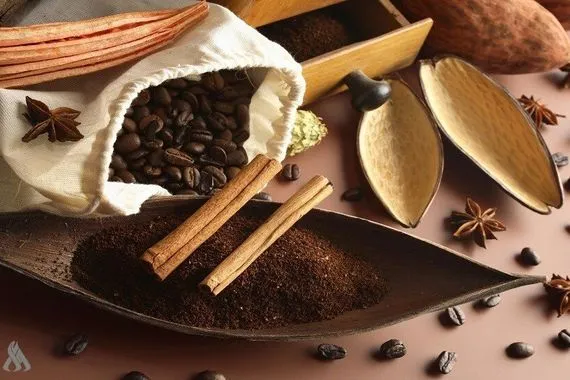 أفضل التوابل لتعزيز المناعة في فصل الشتاء وكالة الانباء العراقية واع