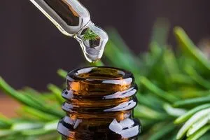 باحثون مستخلص إكليل الجبل يحارب التهاب الدماغ المصاحب لعلاج السرطان