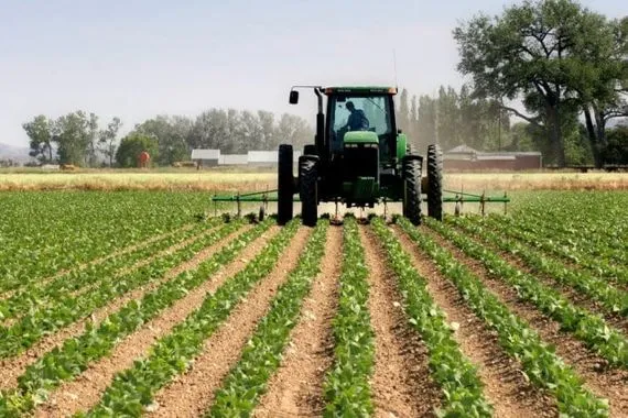 نائب يدعو لاعتماد الزراعة والصناعة كخيار إستراتيجي ويطالب بحماية المنتج المحلي